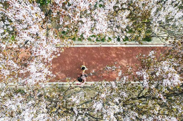 微信截图_20250407142900