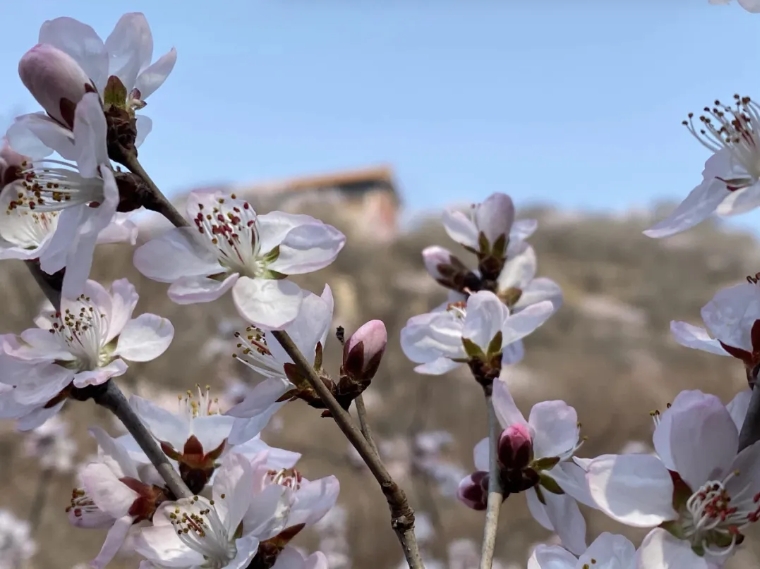 微信截图_20250407143004