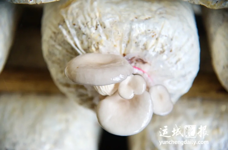 微信截图_20250407144320