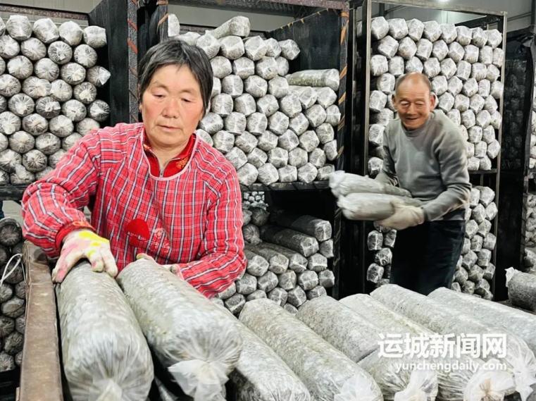 微信截图_20250407144343