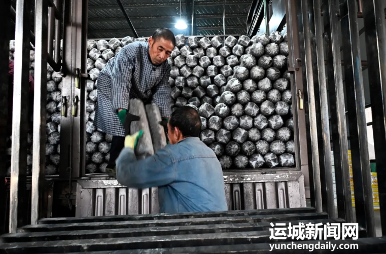 微信截图_20250407144410