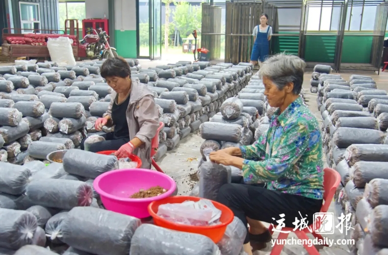 微信截图_20250407144436