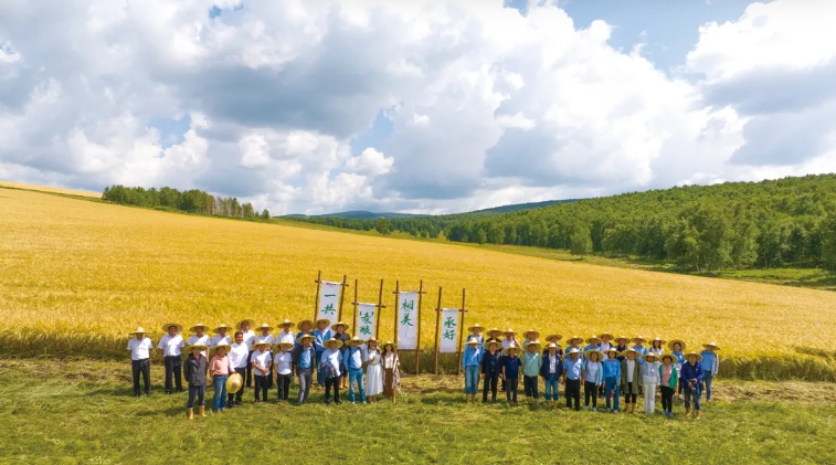 微信截图_20250409164517