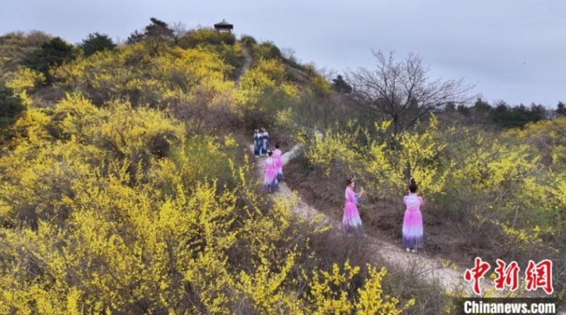 微信截图_20250416135334