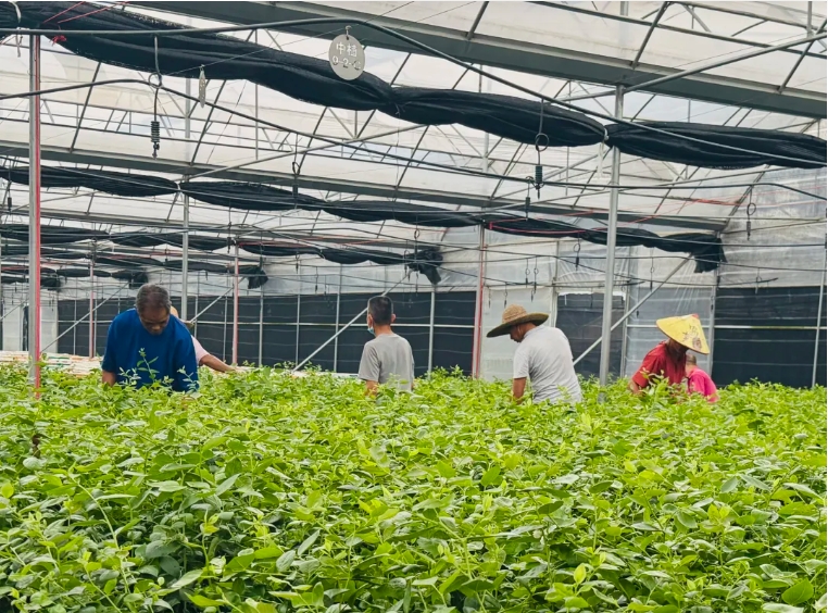 微信截图_20250417094026