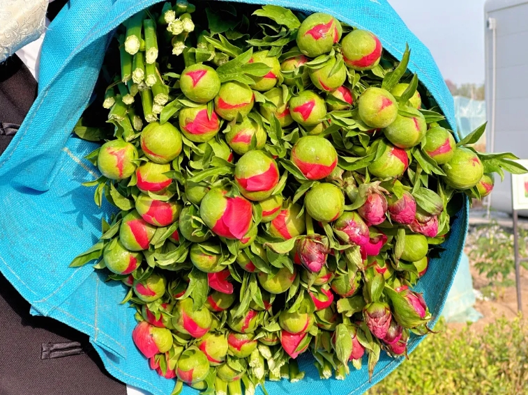 微信截图_20250417094131