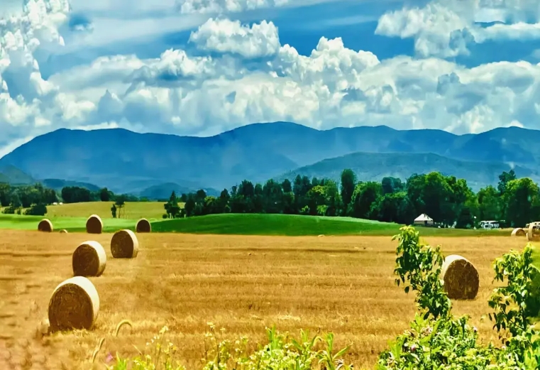 微信截图_20250417151314