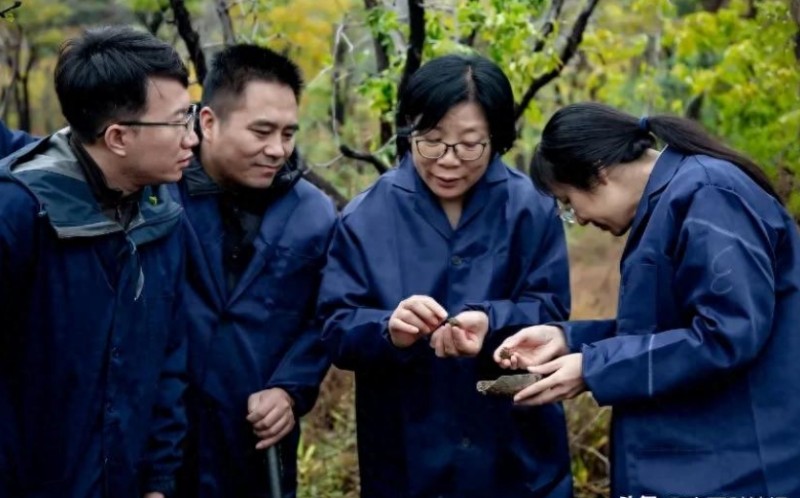 微信截图_20250418151022