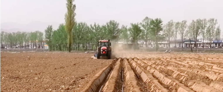 微信截图_20250421094617