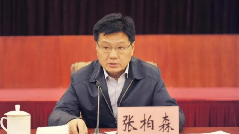 宁夏回族自治区人大环境与资源保护委员会主任委员—张柏森