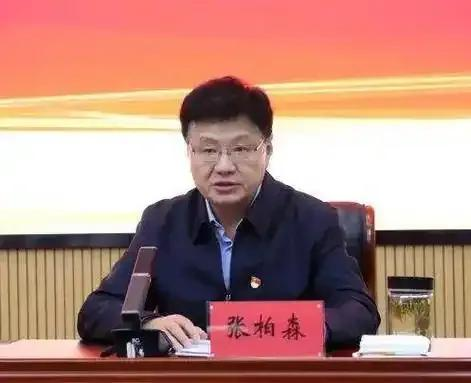 宁夏回族自治区人大环境与资源保护委员会主任委员—张柏森