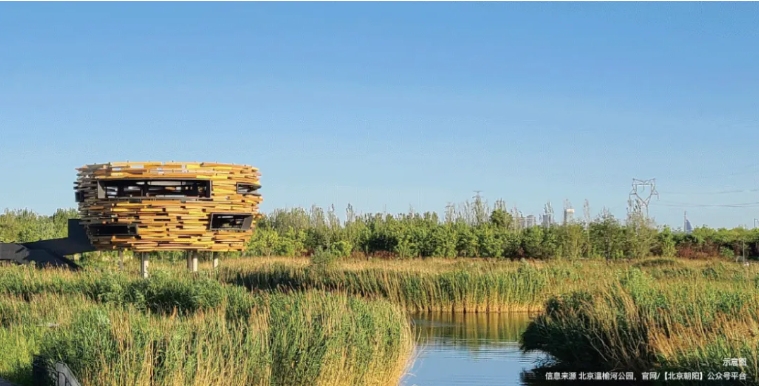 微信截图_20250424100504