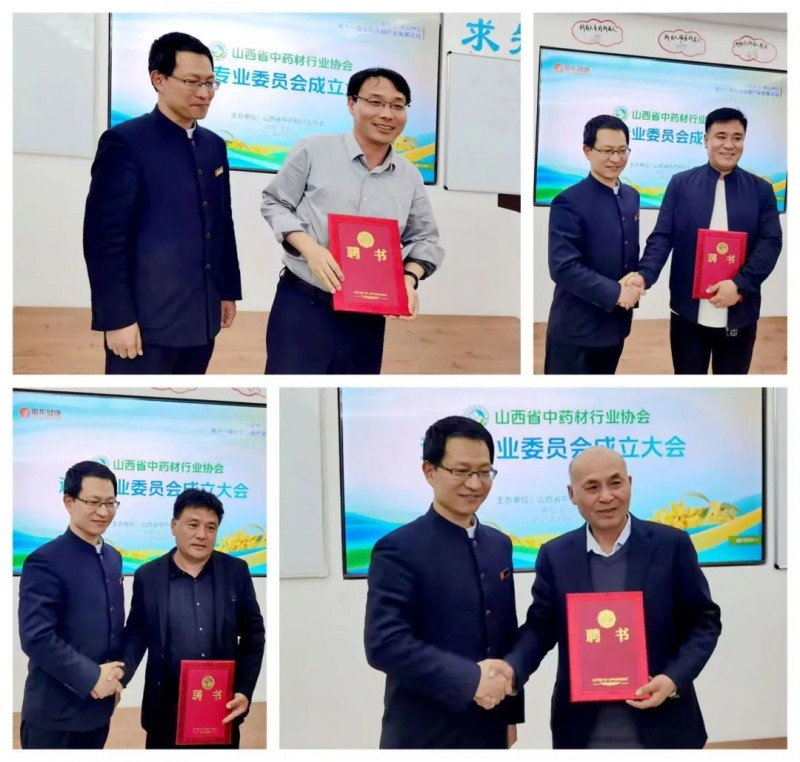 山西连翘产业组建智库平台，振东制药领航高质量发展新征程