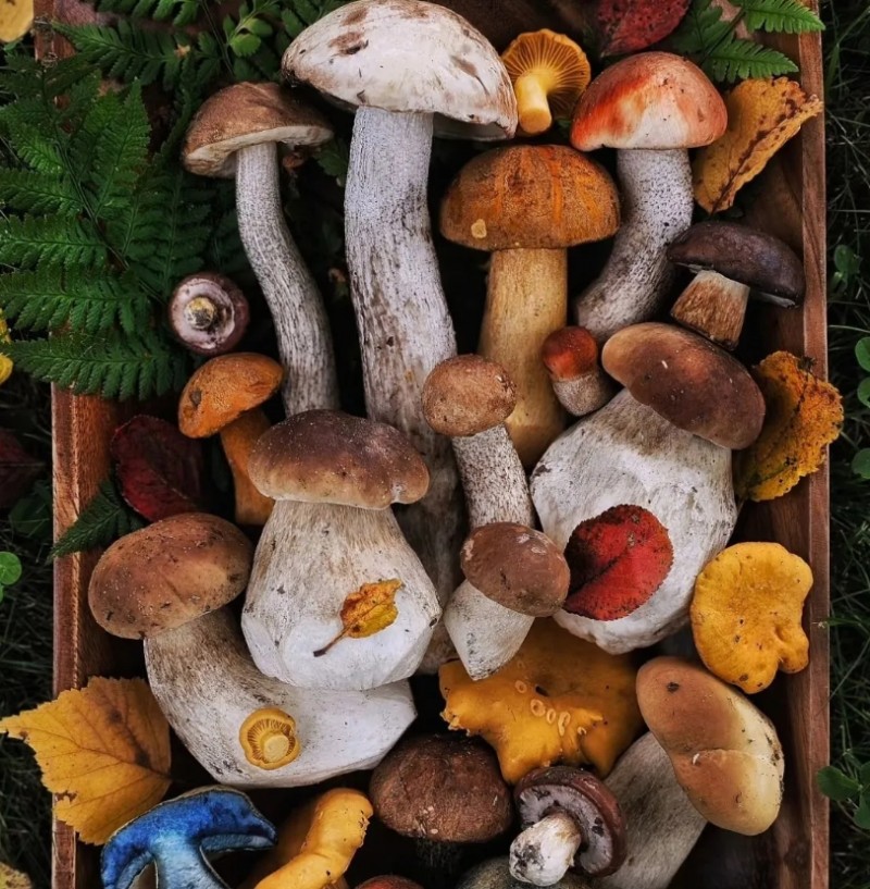 微信截图_20250425105941