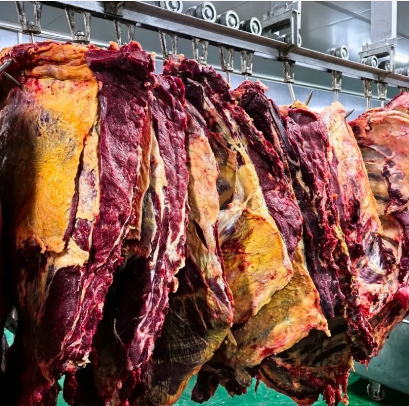 微信截图_20250425110023