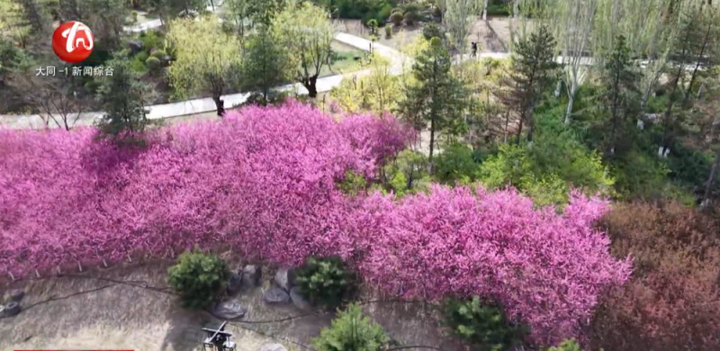 微信图片_20250428094427