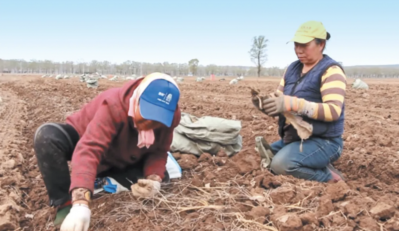 微信图片_20250429100200