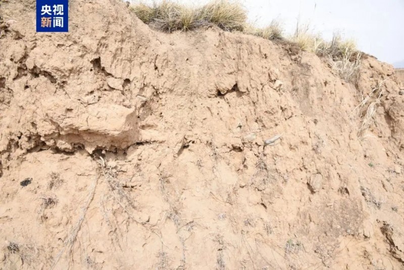 山西大同发现一处重要北魏遗址2