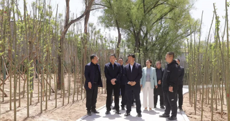 微信图片_20250507094314