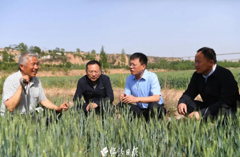 微信截图_20250507145020