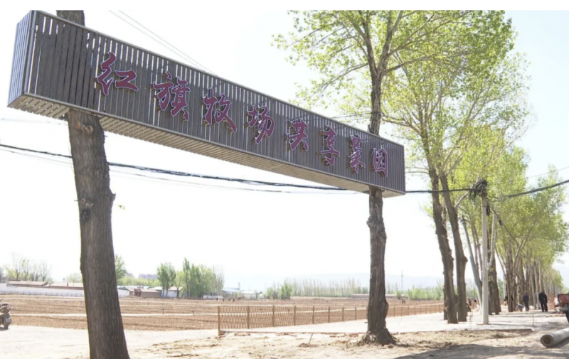 微信图片_20250508095657