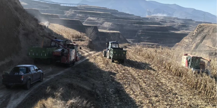 微信截图_20250509101617