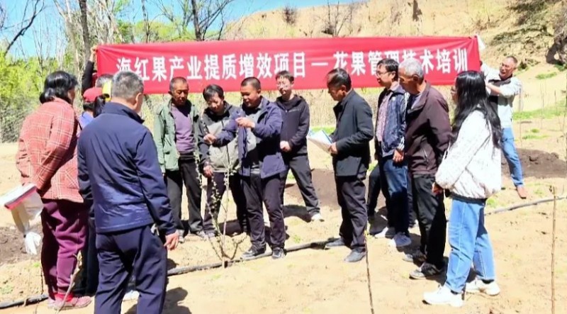 微信截图_20250509101727