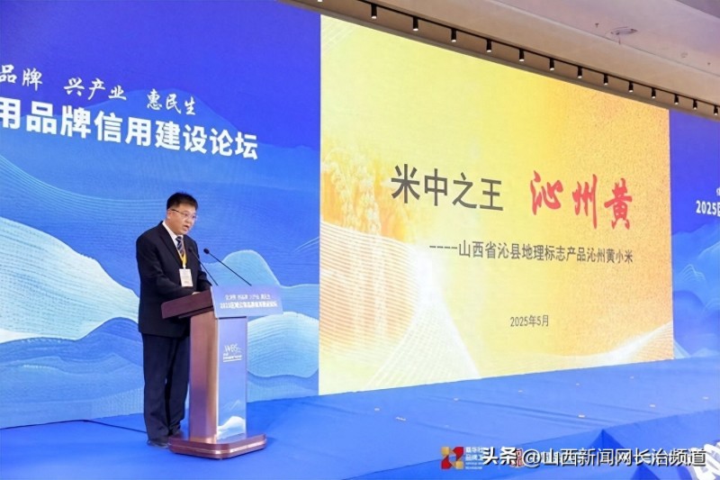 沁县副县长王彦军：沁州黄小米正是中国粟作农业和康养食品的完美代表