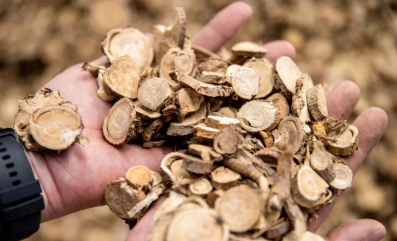 微信截图_20250514145300