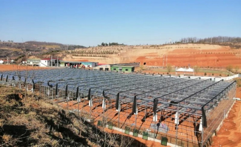 微信截图_20250514145351