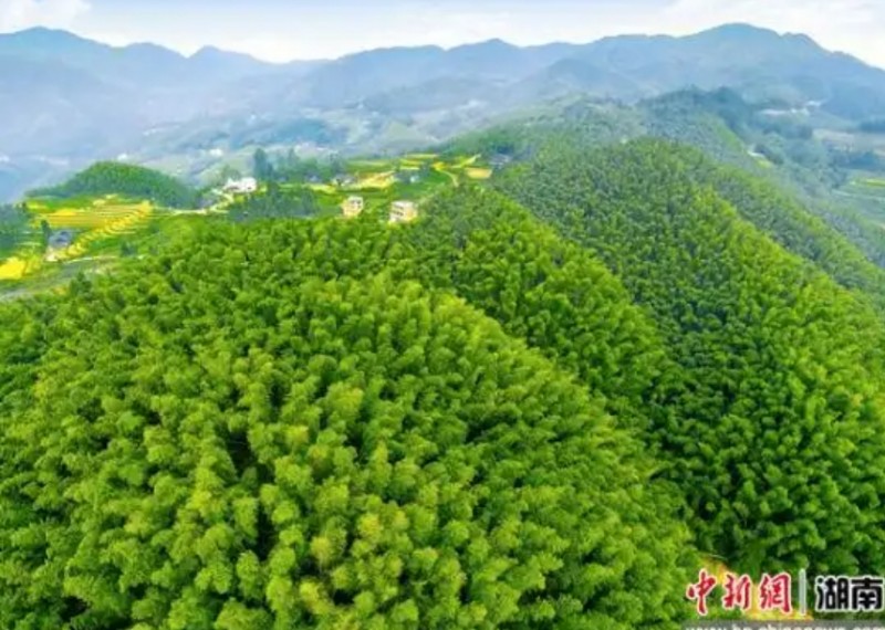 微信截图_20250515163808