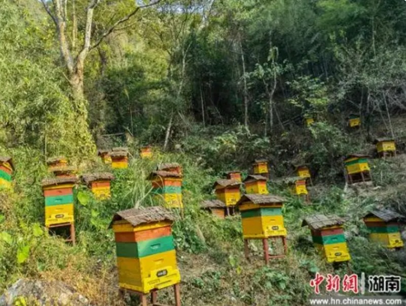 微信截图_20250515163829