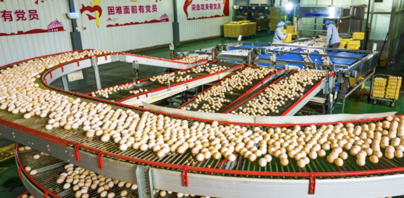 微信图片_20250519110607