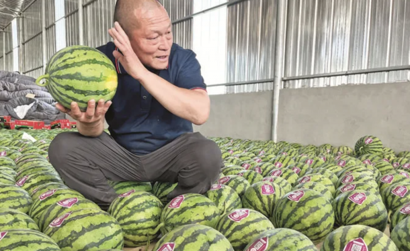 微信图片_20250519110609