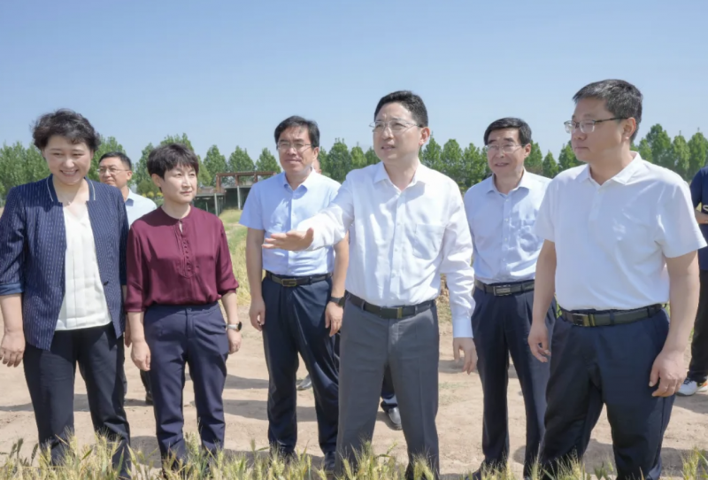 微信图片_20250520093919