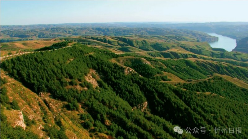 微信截图_20250520102949