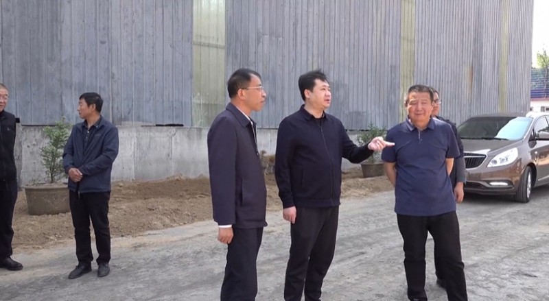 辛磊深入部分乡（镇）督查指导当前重点工作