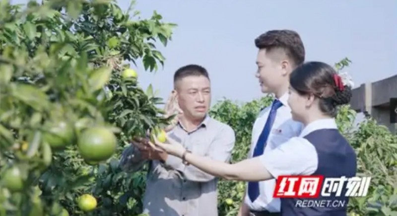 微信截图_20250528151743