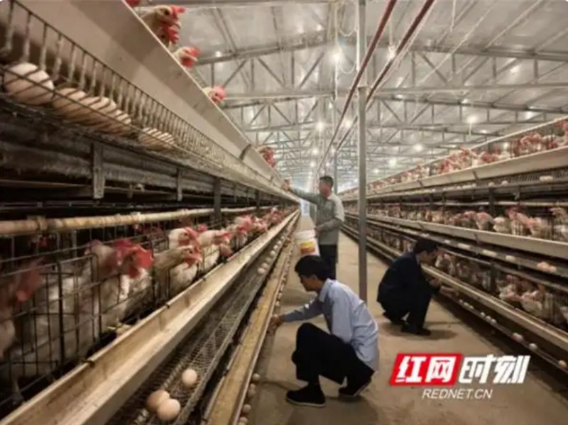 微信截图_20250528151955