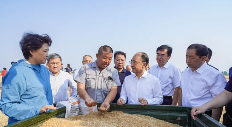 微信图片_20250529092518