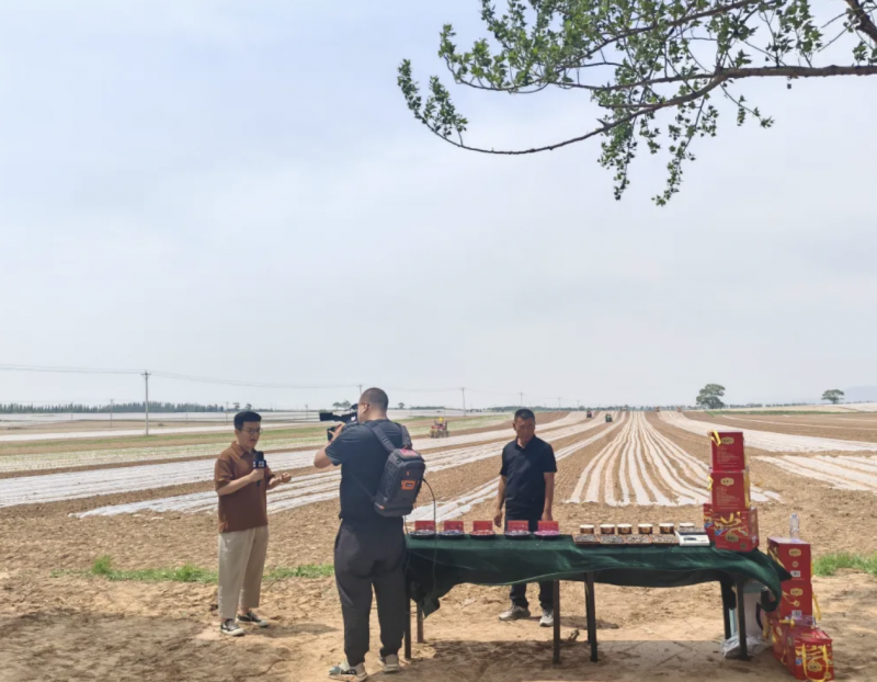 微信图片_20250530093047