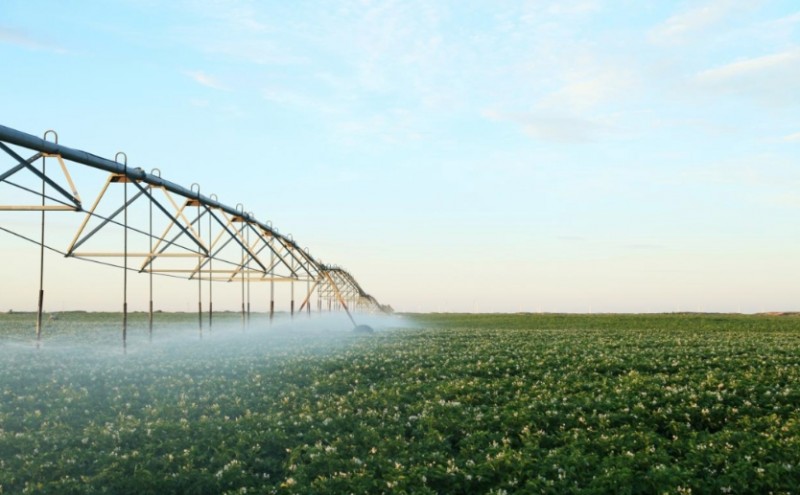 微信截图_20250611113412