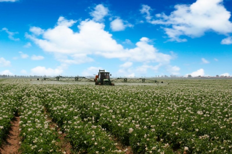 微信截图_20250611113439