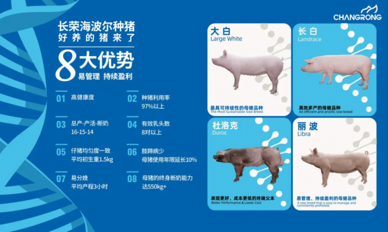 微信图片_20250611135541