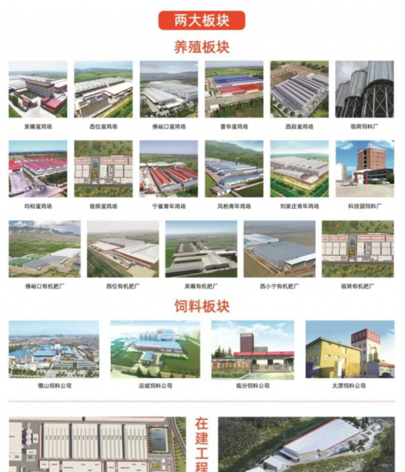 微信图片_20250611143521