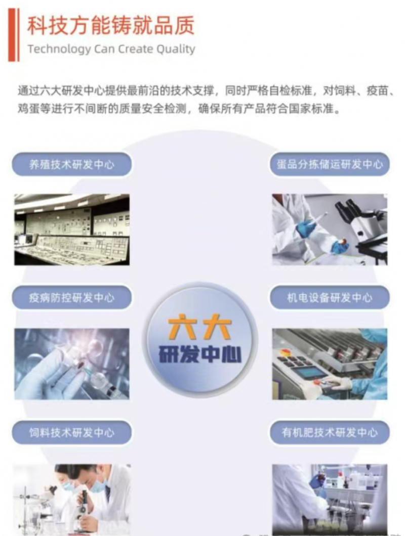 微信图片_20250611143532