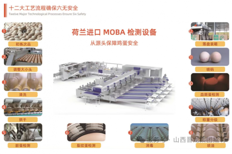 微信图片_20250611143605