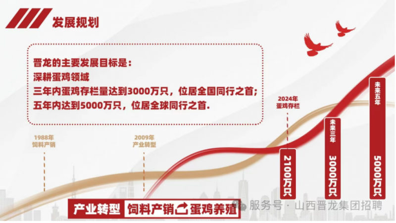 微信图片_20250611143641