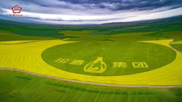 一粒高粱的“旅行”