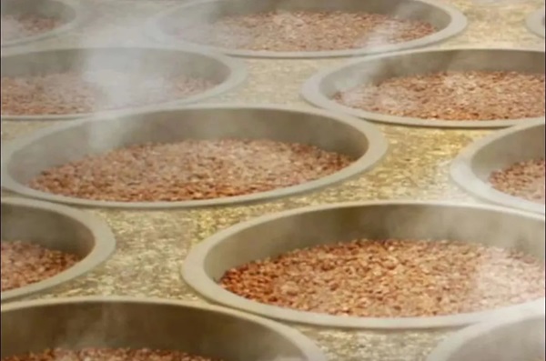 一粒高粱的“旅行”